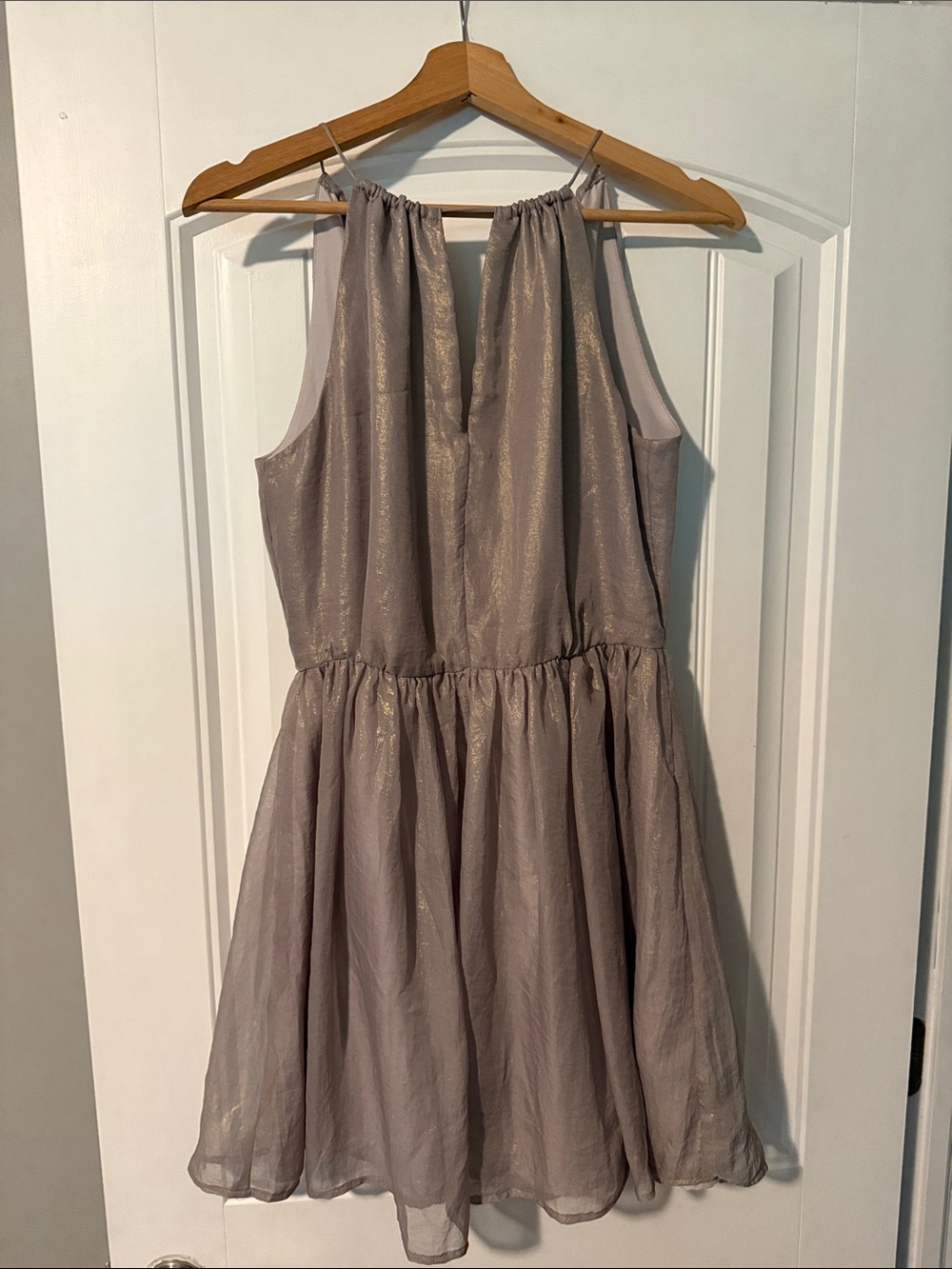 Women’s Shimmery Taupe Party Dress